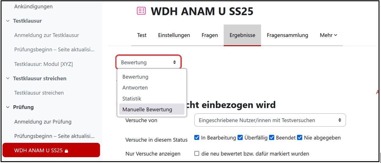 manuelle_bewertung_auswahl.jpg manuelle_bewertung_auswahl.jpg