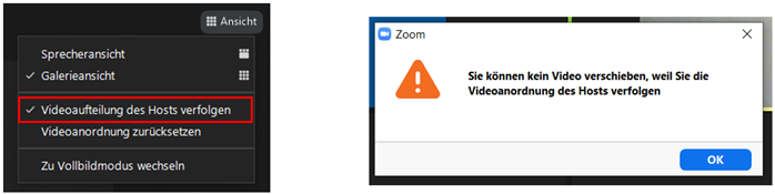 zoom_t_t2.png