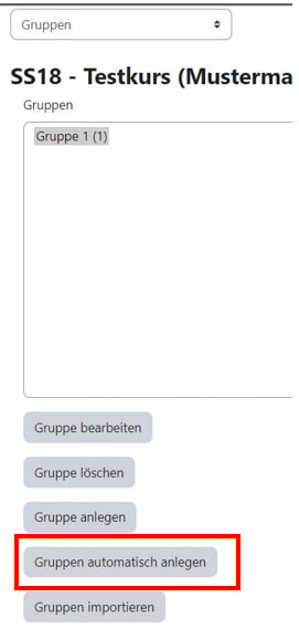 gruppe_automatisch.jpg