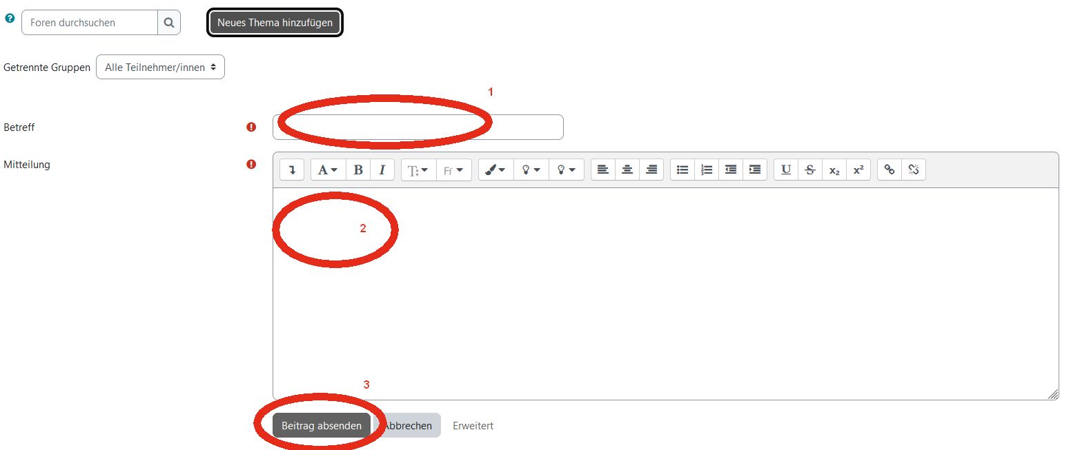 moodle_forum-ankuendigungen-beitraghinzufiegen.jpg