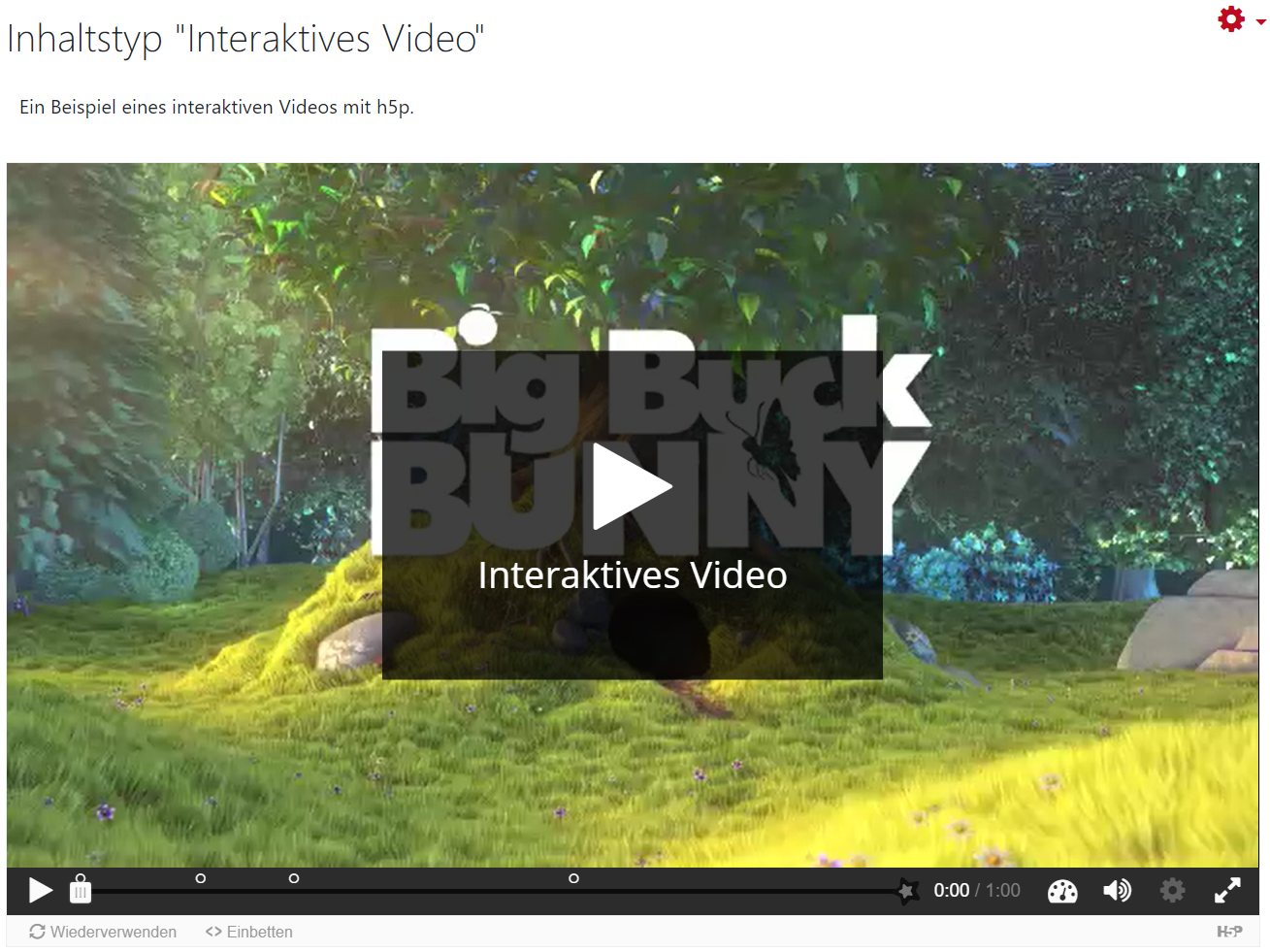 h5p_speichern_und_anzeigen.png